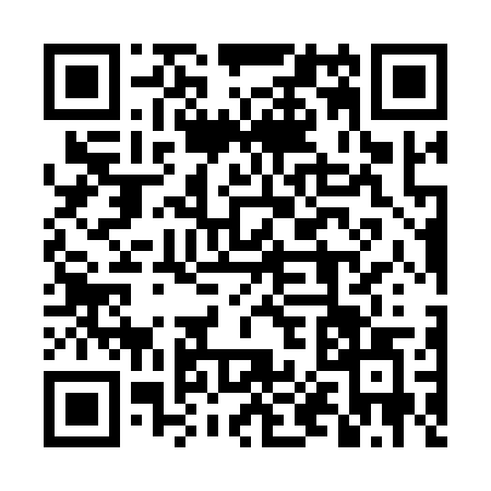 QR code for 4P517AG