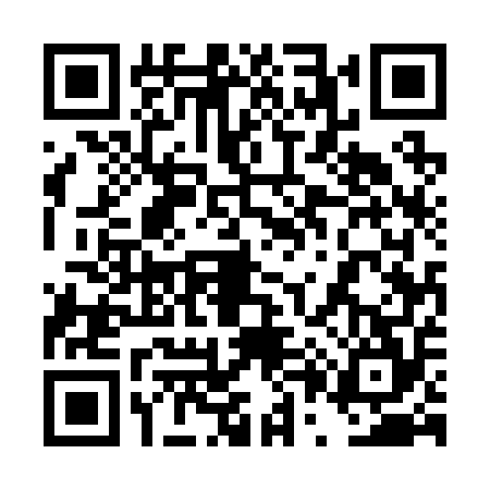 QR code for 4P52546
