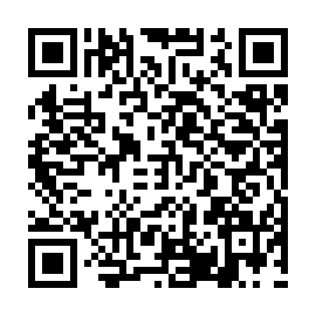 QR code for 4P53510