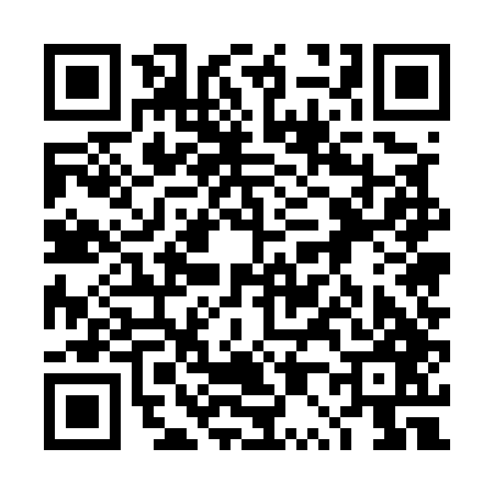 QR code for 4P5547H