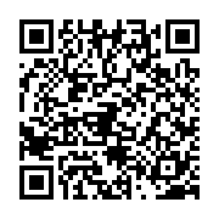 QR code for 4P63358