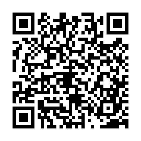 QR code for 4P6466I