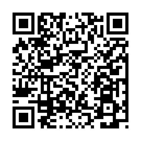 QR code for 4P6466M