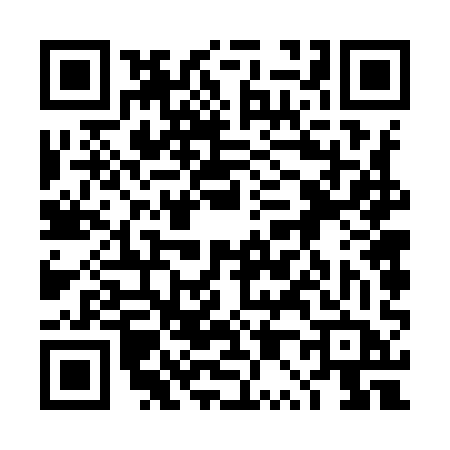 QR code for 4P691BQ