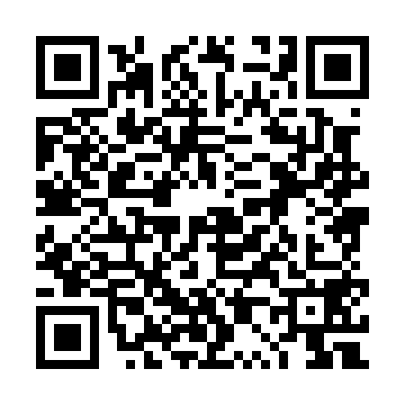 QR code for 4P80585