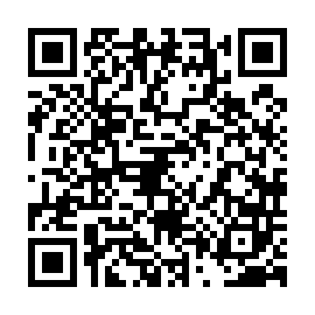 QR code for 4P85420