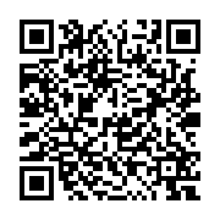 QR code for 4P8Q265