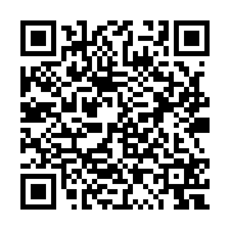QR code for 4P9Q242