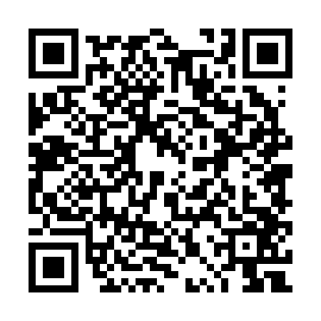 QR code for 4PT2463