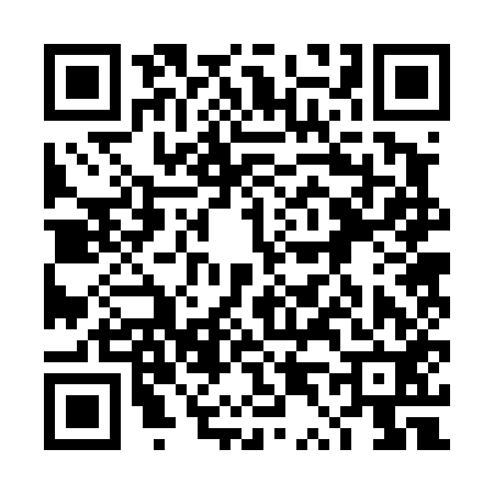 QR code for 4T2452A