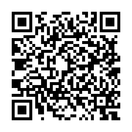 QR code for 4T3817V