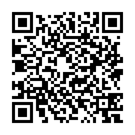 QR code for 4T91386