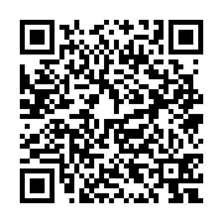 QR code for 5L1331Y