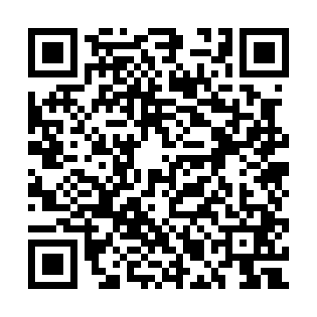 QR code for 5MO0411