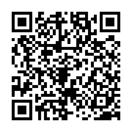 QR code for 5O95013