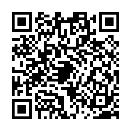 QR code for 5P5P333