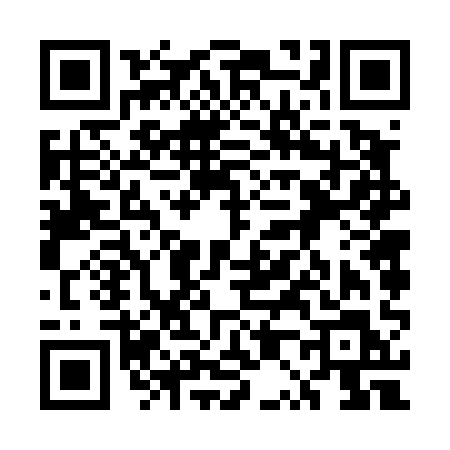 QR code for 5P641LI