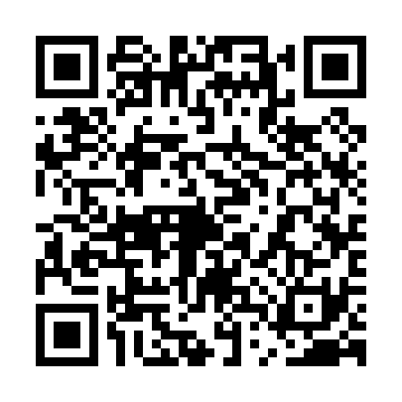 QR code for 5TS0313