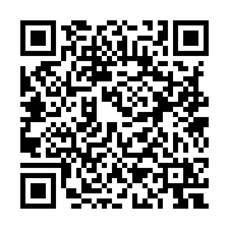 QR code for 6A393XX