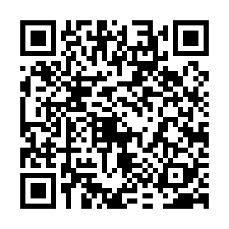 QR code for 6C41294