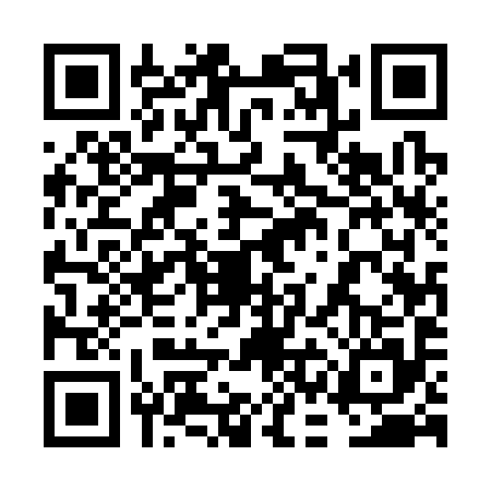 QR code for 6CE3958