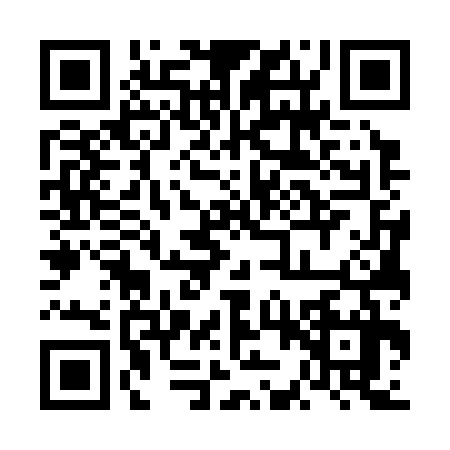 QR code for 6JW3377