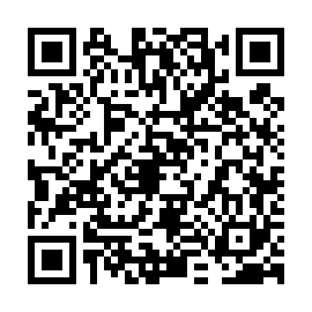 QR code for 6L6461P
