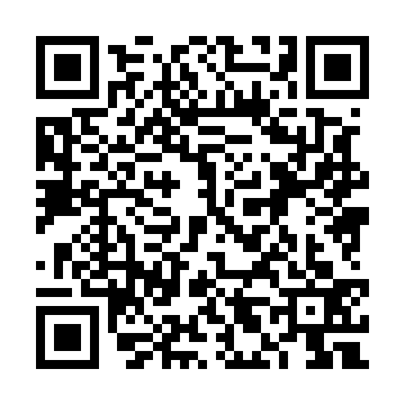 QR code for 6L85335