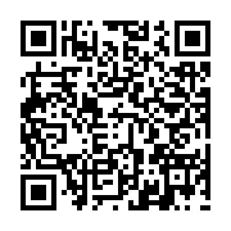 QR code for 6O03538