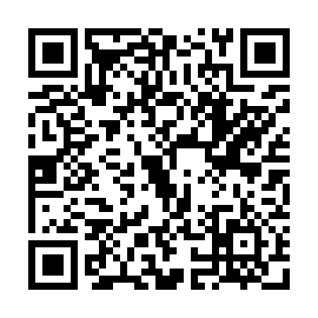 QR code for 6O0976L