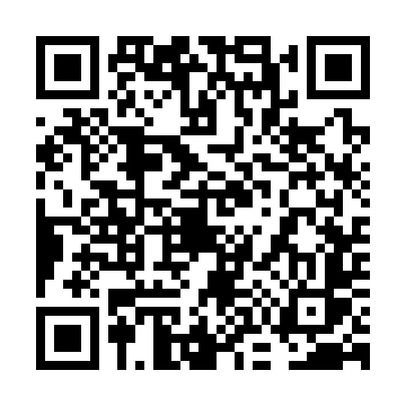 QR code for 6O334SS