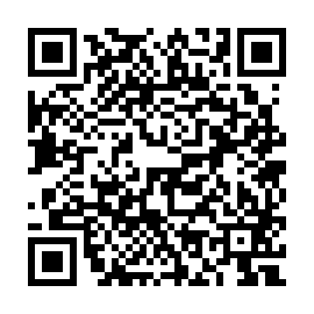 QR code for 6O3383C