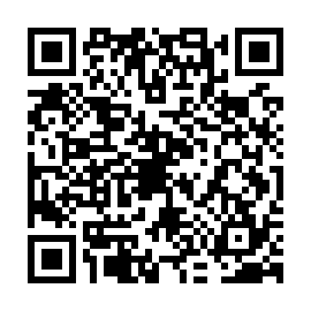 QR code for 6O5O347