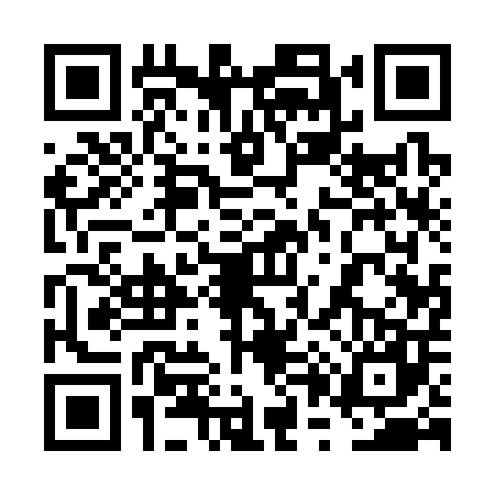 QR code for 6P13079