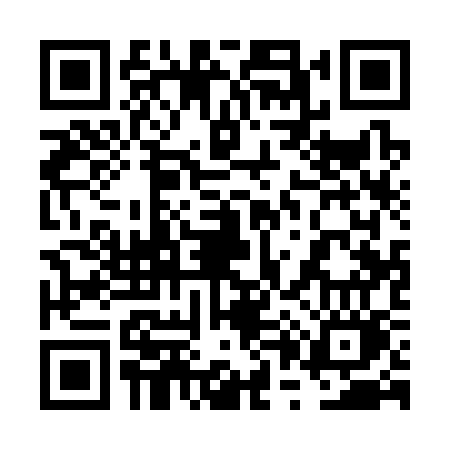 QR code for 6P133OM