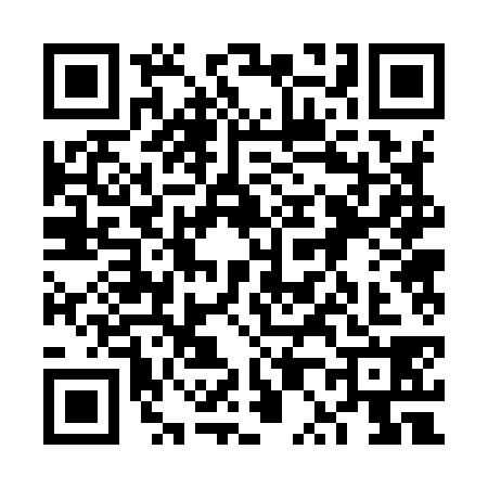 QR code for 6P29389