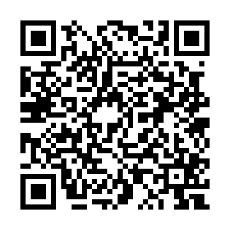 QR code for 6P30051