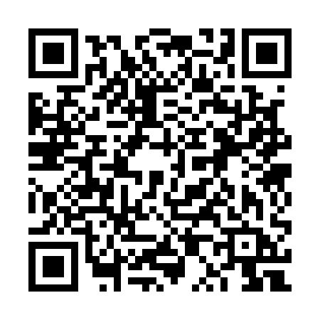 QR code for 6P311BM