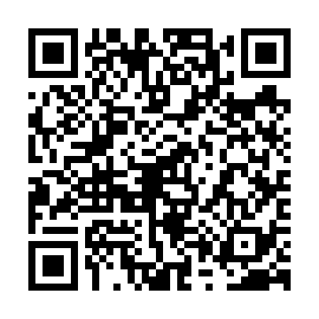 QR code for 6P3638U