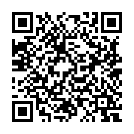 QR code for 6P384UT