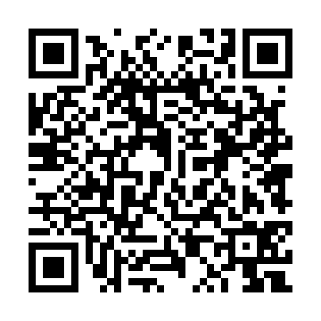 QR code for 6P4134N