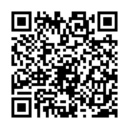 QR code for 6P4233A