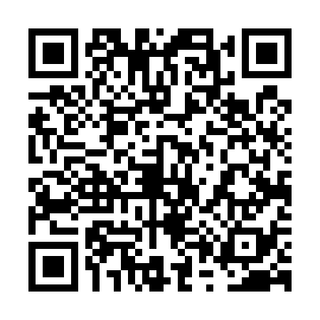 QR code for 6P4538H