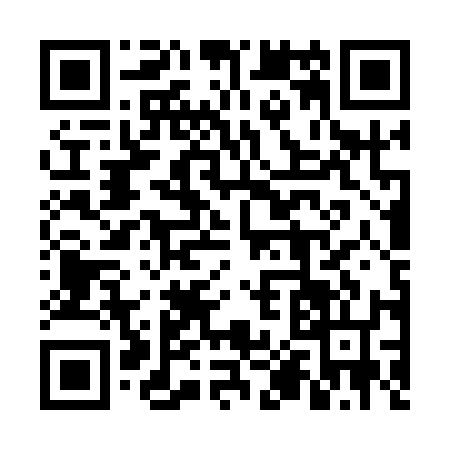 QR code for 6P4Q161