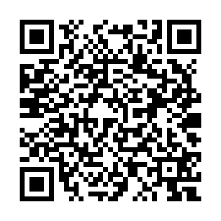 QR code for 6P4Z213