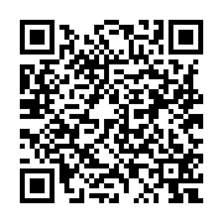 QR code for 6P5I131