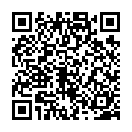 QR code for 6P66250