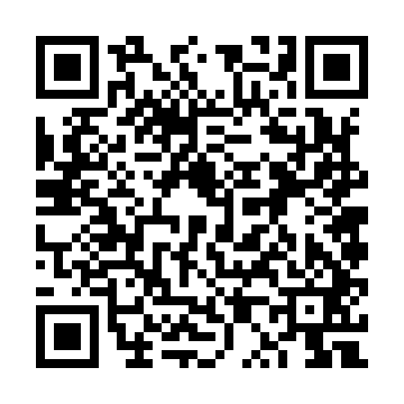 QR code for 6P6941O
