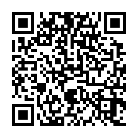 QR code for 6P6C334