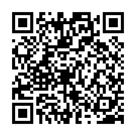 QR code for 6P9009V